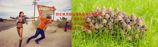синтетический гашиш Богородск