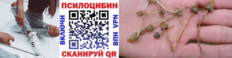Псилоцибиновые грибы Magic Shrooms  где продают   Муравленко 